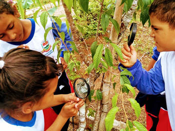 Projeto 'Vivência de Educação Ambiental' - Foto: AsCom PMT