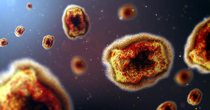 Teresópolis notificou o primeiro caso de Monkeypox - Foto vírus: CNN